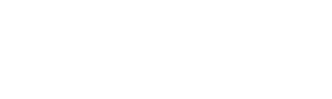 Bhosale Empire Kiwale Logo Image